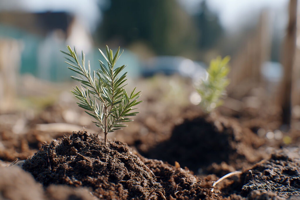 Trwa rekultywacja składowiska odpadów w Szydłowcu