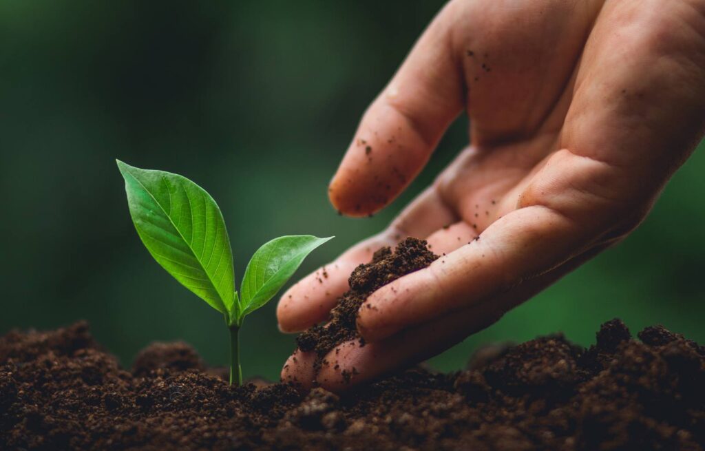 Informacja w sprawie zakończenia „Kontroli procesu rekultywacji składowiska odpadów w Szydłowcu”