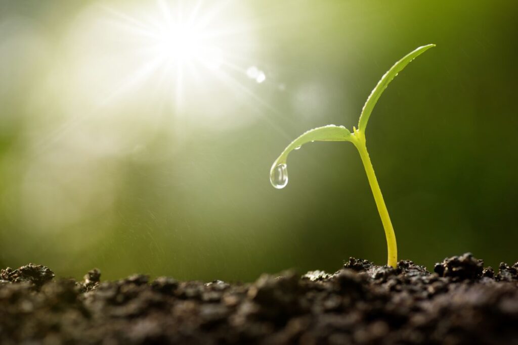 Spotkanie z mieszkańcami w sprawie rekultywacji składowiska odpadów w Szydłowcu